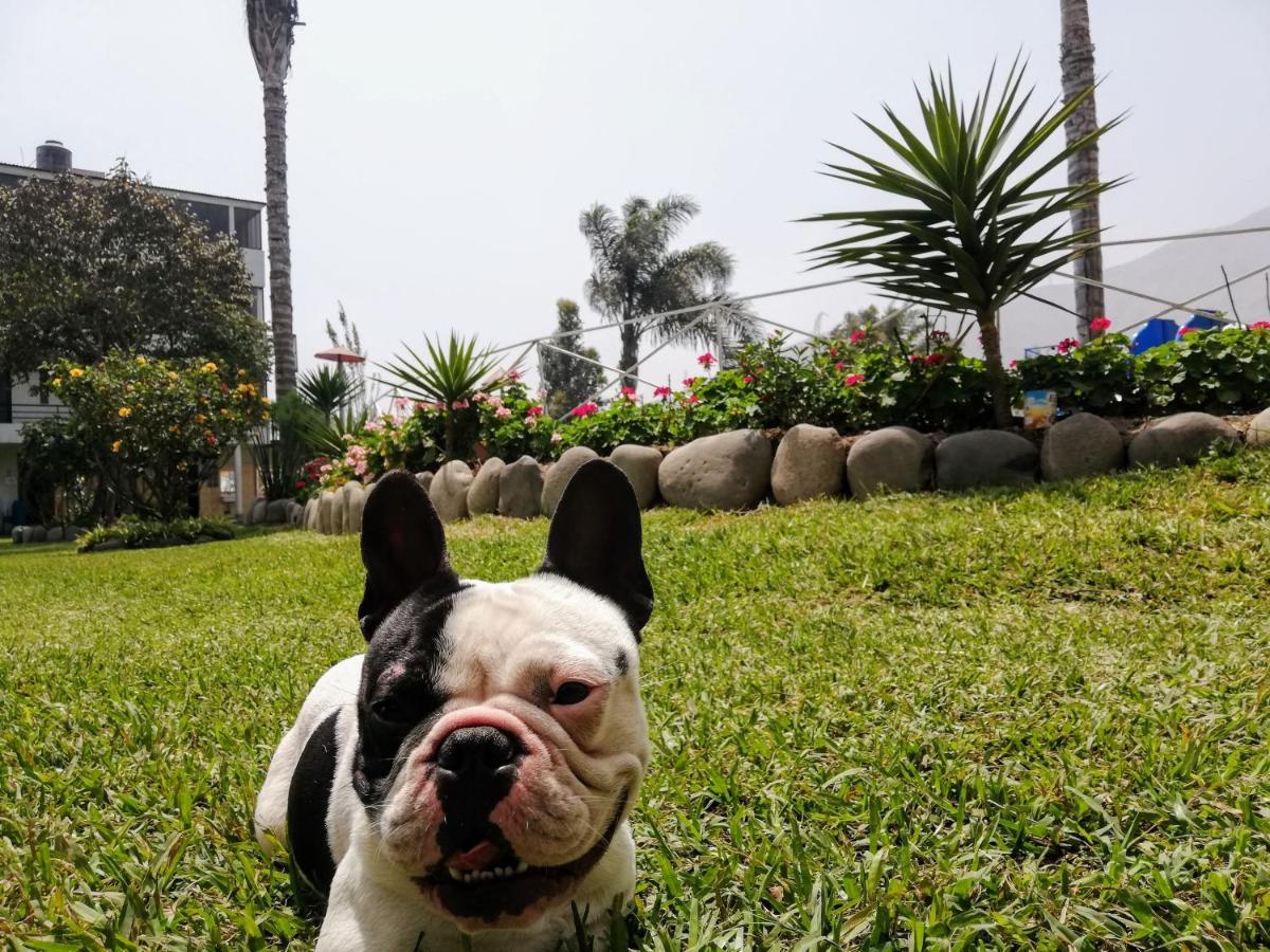 Mi Pequeno Club Hotel Lima Buitenkant foto